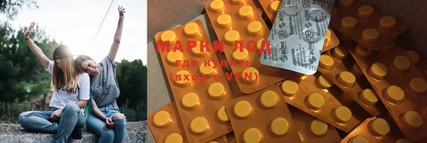 дмт Калининец