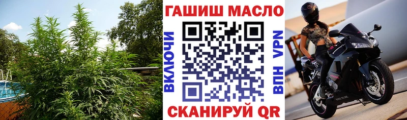 Купить закладки  Ртищево  ТГК концентрат 