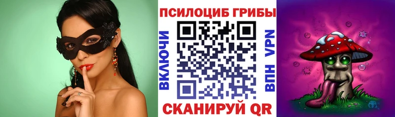 Купить Ртищево Псилоцибиновые грибы MAGIC MUSHROOMS