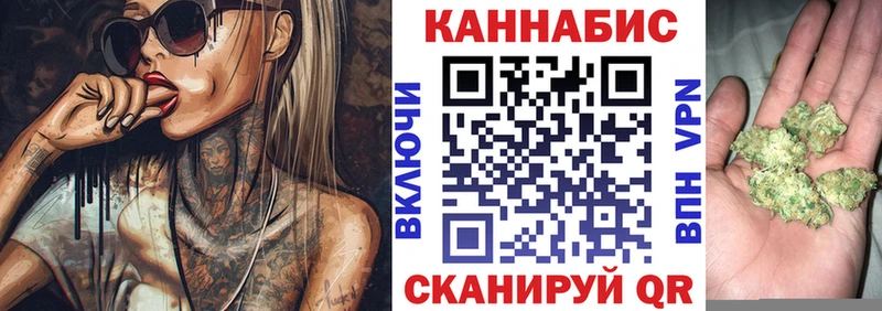 Конопля Bruce Banner  Купить где  Ртищево 